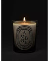 🕯️ Enchanting Warmth – DIPTYQUE Ambre Scented Candle | Perfect for Creating a Cozy Atmosphere - 6.5 OZ
