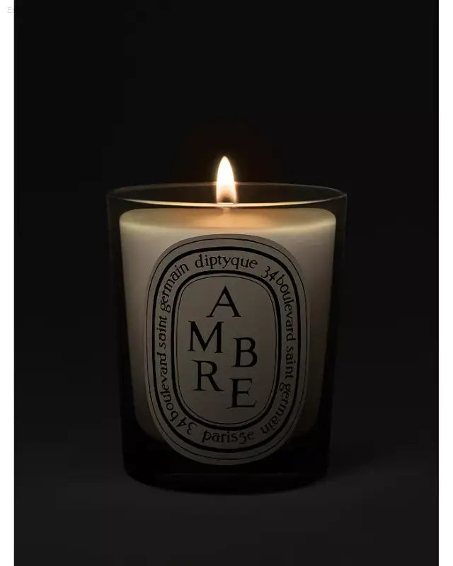 🕯️ Enchanting Warmth – DIPTYQUE Ambre Scented Candle | Perfect for Creating a Cozy Atmosphere - 6.5 OZ