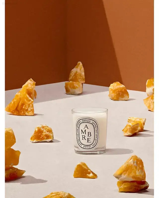 🕯️ Enchanting Warmth – DIPTYQUE Ambre Scented Candle | Perfect for Creating a Cozy Atmosphere - 6.5 OZ