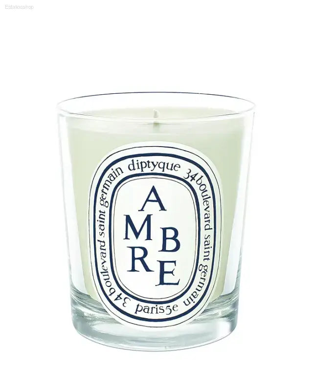 🕯️ Enchanting Warmth – DIPTYQUE Ambre Scented Candle | Perfect for Creating a Cozy Atmosphere - 6.5 OZ
