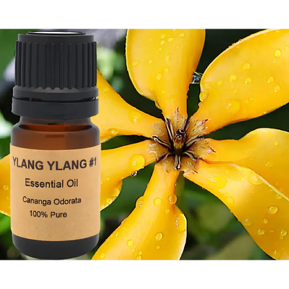 Exotic Ylang Ylang Essential Oil showcasing pure Ylang Ylang essential oil for relaxation