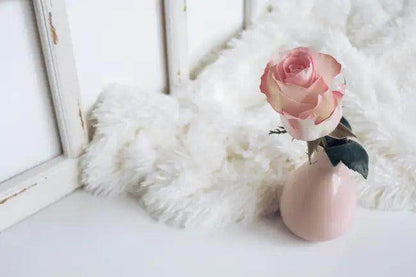 Stylish Home Trio: Lux Rug, Rose Decor & Bowl - Estalios