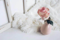 Stylish Home Trio: Lux Rug, Rose Decor & Bowl - Estalios