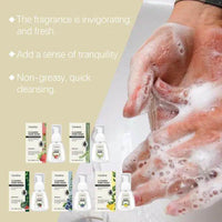 Foaming Watermelon Hand Wash for Refreshing Cleanliness - Estalios