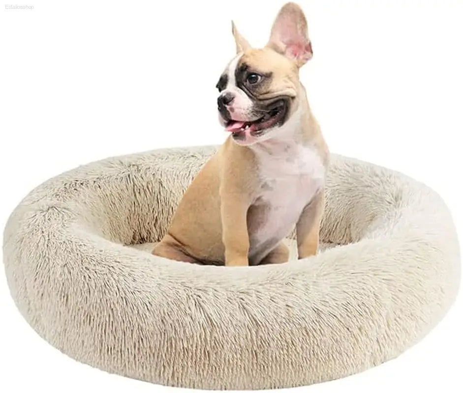 Friends Forever Fluffy Faux Fur Dog Bed - Calming Plush Sofa for Large Dogs, Machine Washable & Non-Slip, 36"x36"x8", Grey