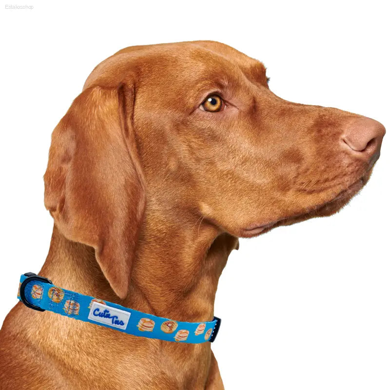 🐾 Fun Style – Pancakes & Waffles Breakfast Dog Collar | Perfect for Fashion-Forward Pups Cutieties.com  EstaliosShop