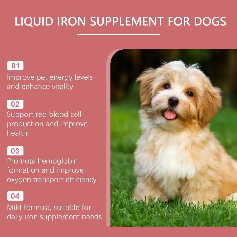 Gentle Pet Dog Syrup Enhances Vitality and Health - Estalios