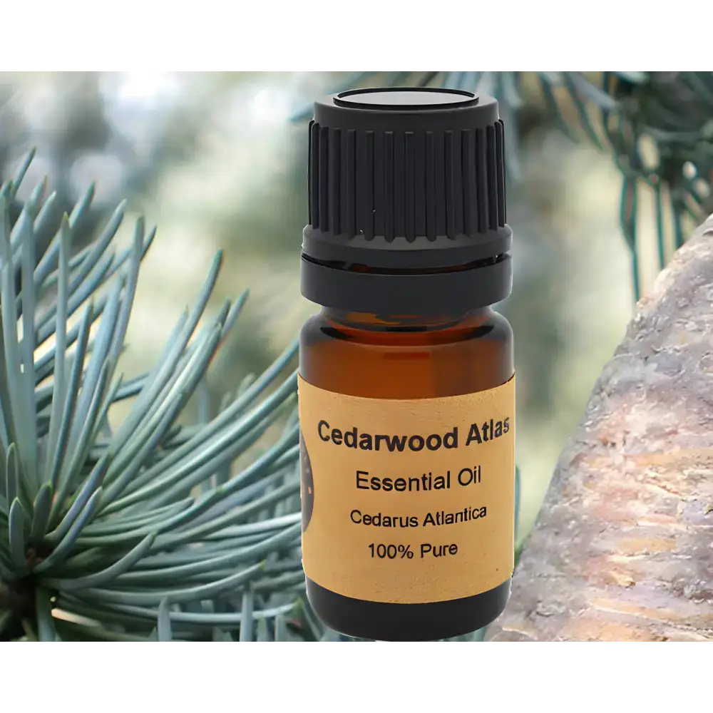 Amber-colored bottle of Atlas Cedarwood Essential Oil from Cedrus Atlantica