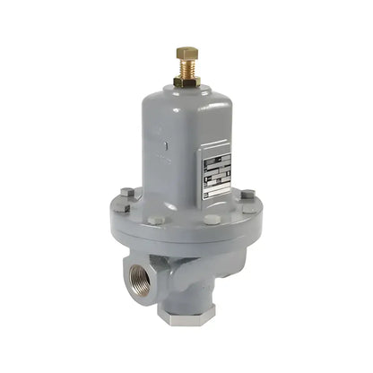 Gray MR95 Series Pressure Regulator with brass adjustment screw for optimal pressure control