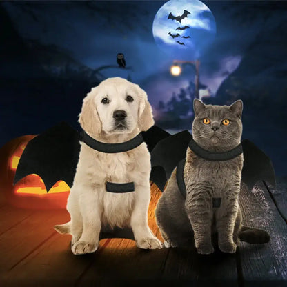 Cute pets in Halloween Pet Bat Wings Costumes ready to fly for spooky fun!