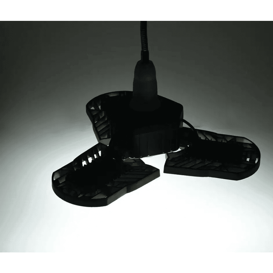 Unleash Your Vision: Mount, Light, and Capture Brilliance!.