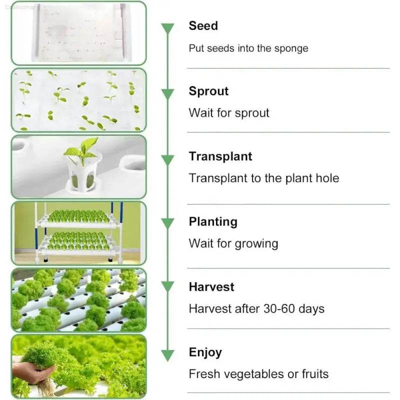 Hydroponic Planting System with 108 Sites and Timers - Estalios