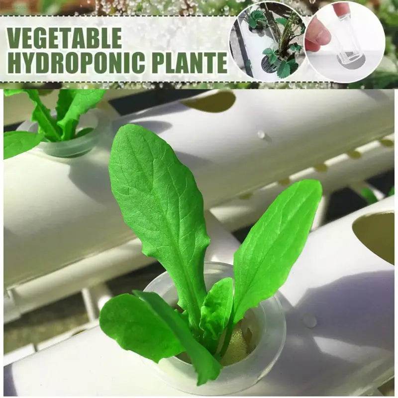 Hydroponics Growing System Kit with 108 Sites for Plants - Estalios