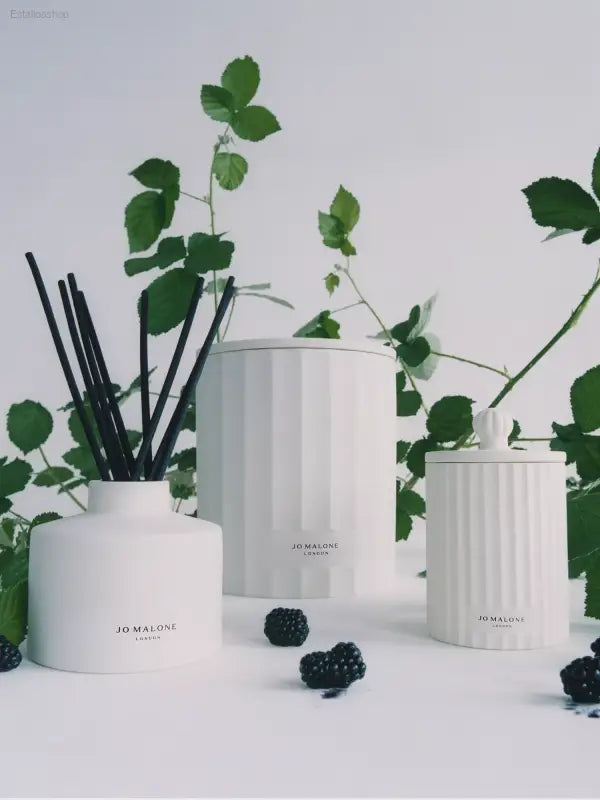 🍇 Indulge Your Senses – Jo Malone London Wild Berry & Bramble Candle | Luxurious Ambiance for Your Home - 3000 g