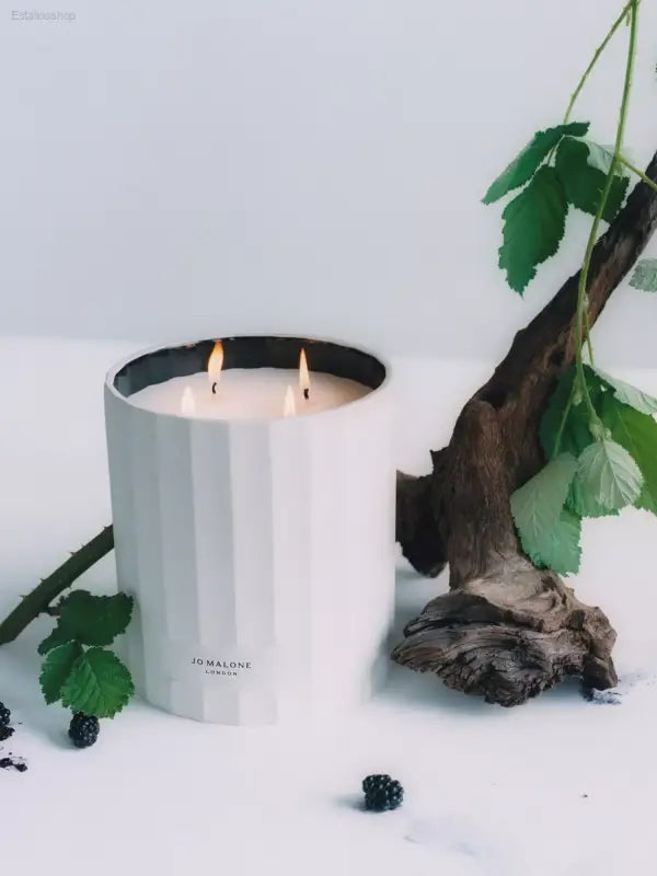 🍇 Indulge Your Senses – Jo Malone London Wild Berry & Bramble Candle | Luxurious Ambiance for Your Home - 3000 g