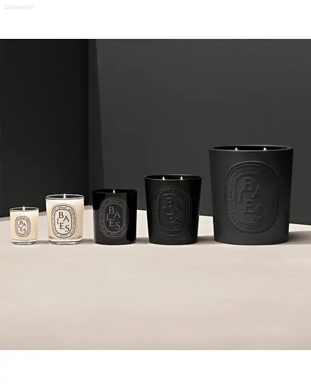 🕯️ Irresistible Freshness – DIPTYQUE Black Baies Scented Candle 21 oz | Perfect for Creating a Cozy Atmosphere - 21 oz