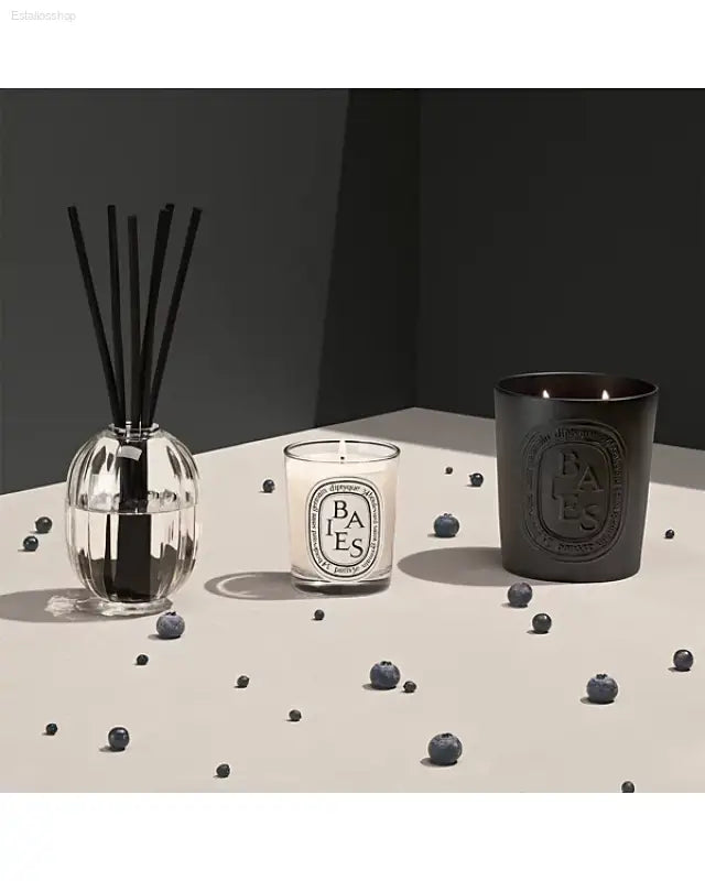 🕯️ Irresistible Freshness – DIPTYQUE Black Baies Scented Candle 21 oz | Perfect for Creating a Cozy Atmosphere - 21 oz
