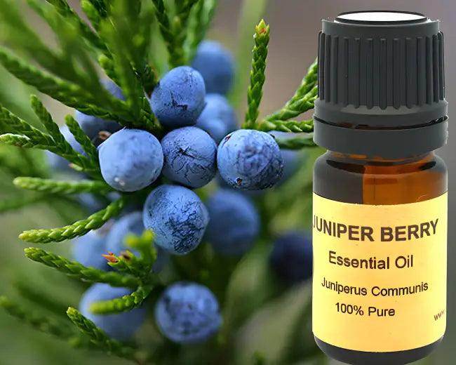 Pure Juniper Berry Essential Oil in Brown Glass Bottle - Estalios