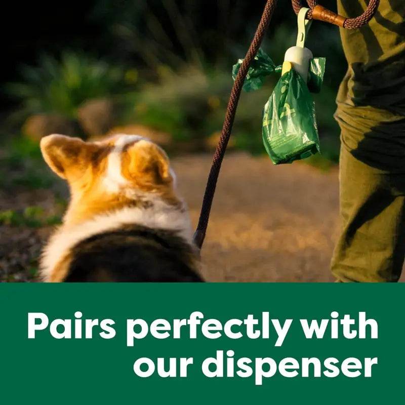 Green dog waste bag.
