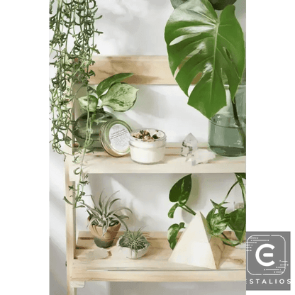 Radiant Garden Oasis Candle and Crystal Decor for Relaxation - Estalios