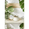 Radiant Garden Oasis Candle and Crystal Decor for Relaxation - Estalios