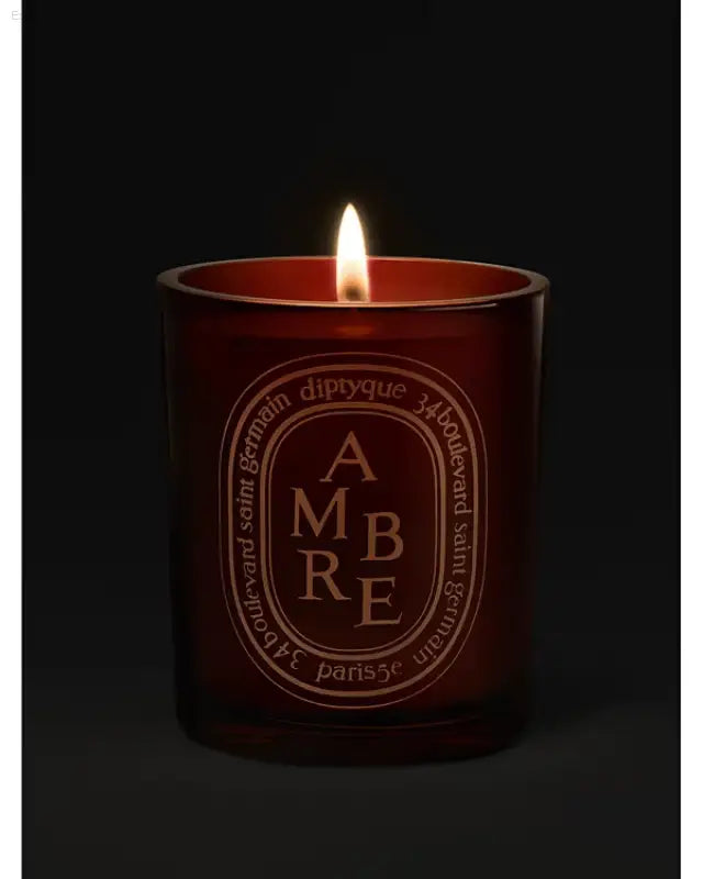 🕯️ Luxurious Aroma – Diptyque Ambre Scented Candle 10.6 Oz | Perfect for Creating a Cozy Atmosphere - 10.6 oz