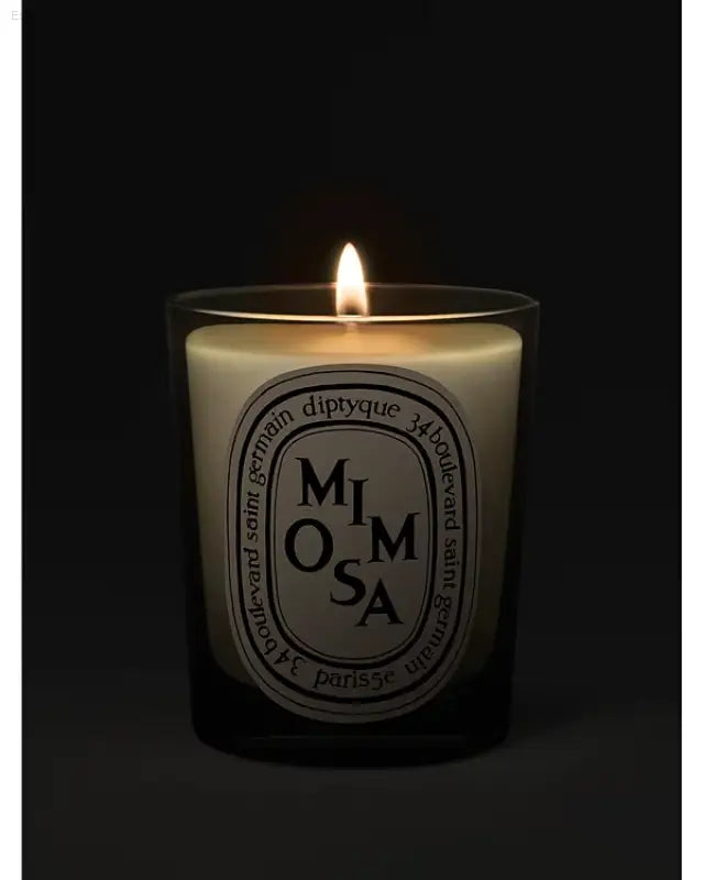 🌼 Luxurious Escape – DIPTYQUE Mimosa Scented Candle | Perfect for Creating a Relaxing Atmosphere at Home - 2.4 oz