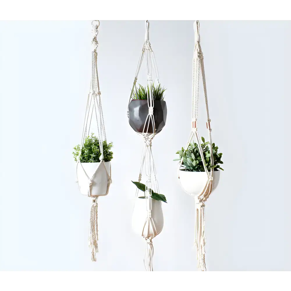 Macrame plant holders displaying lush potted plants and stylish double plant hangers