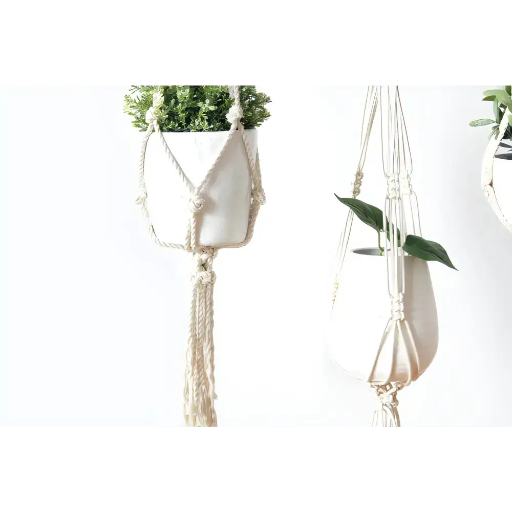 Stylish Macrame Plant Holders & Double Plant Hangers showcasing modern decor vibes