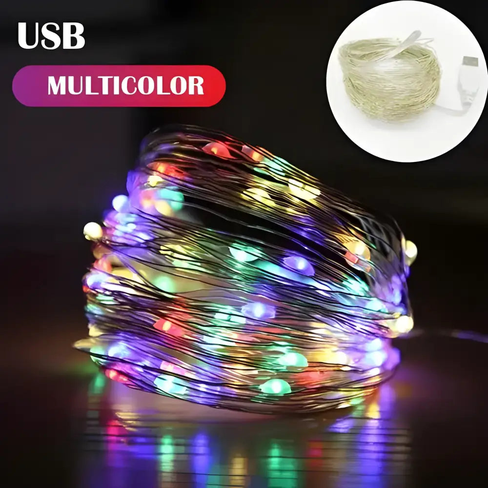 Multicolor USB LED fairy lights in charming cloches, perfect silver wire garland decor