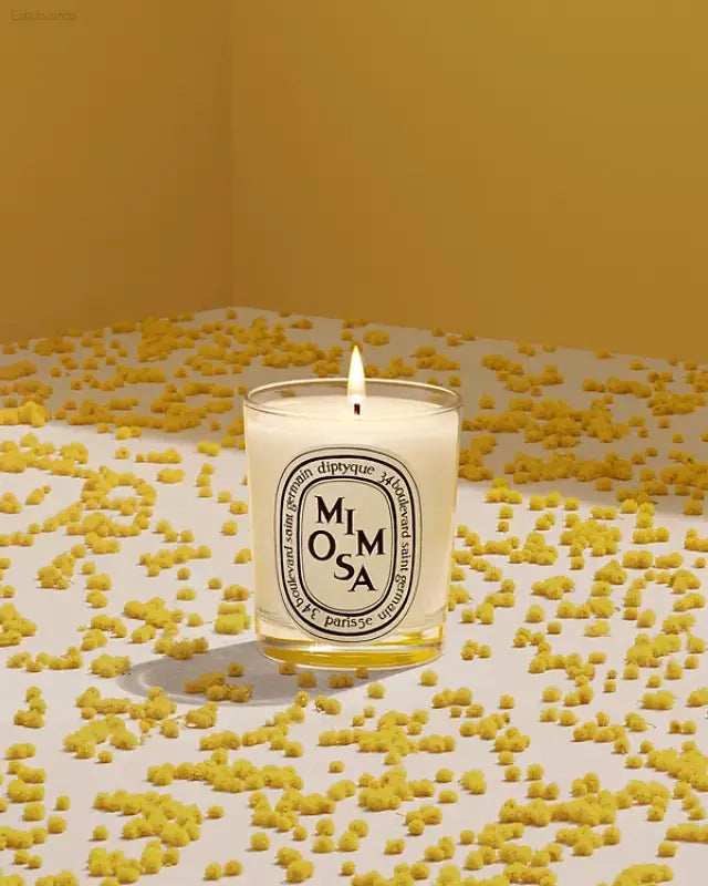 🌼 Mediterranean Bliss – Diptyque Mimosa Scented Candle | Elevate Your Home with Floral Elegance - 6.5 oz