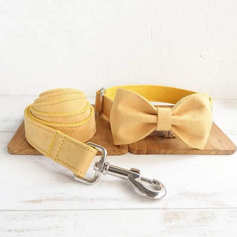 Nala Pet Dog Collar Traction Rope in Yellow Polyester - Estalios