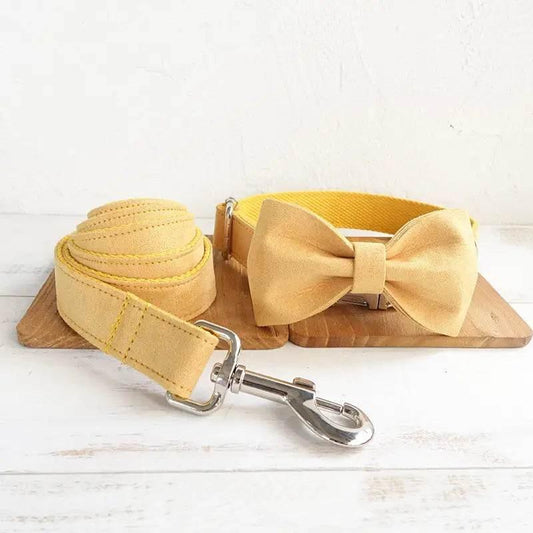 Nala Pet Dog Collar Traction Rope in Yellow Polyester - Estalios