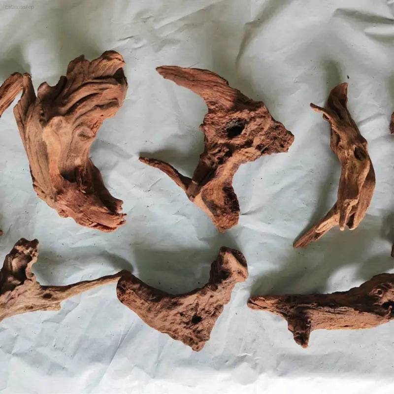 Natural Coral Driftwood for Aquariums - Large Decor Wood - Estalios