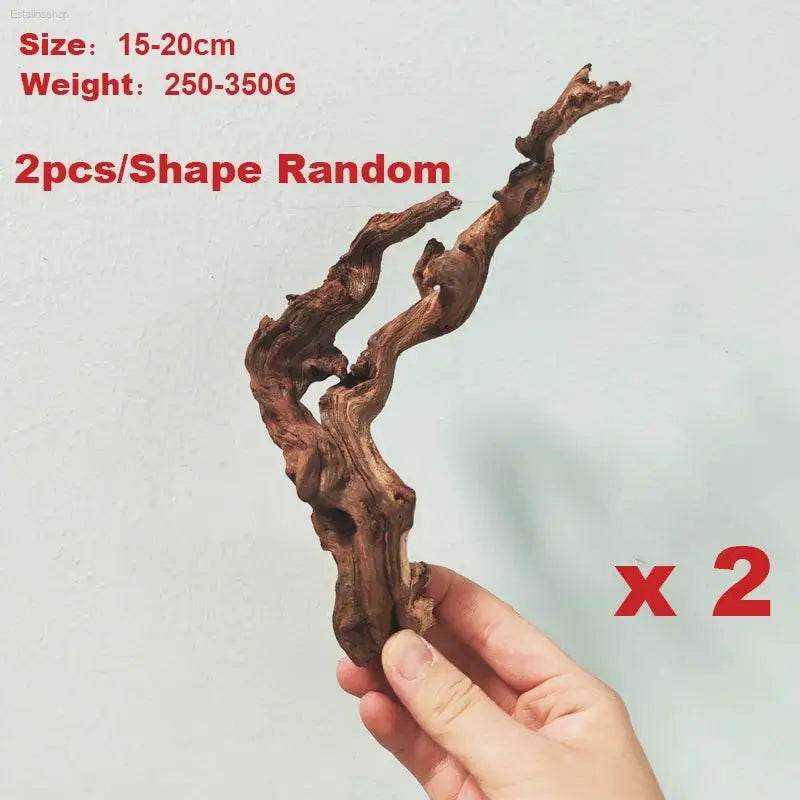 Natural Coral Driftwood for Aquariums - Large Decor Wood - Estalios