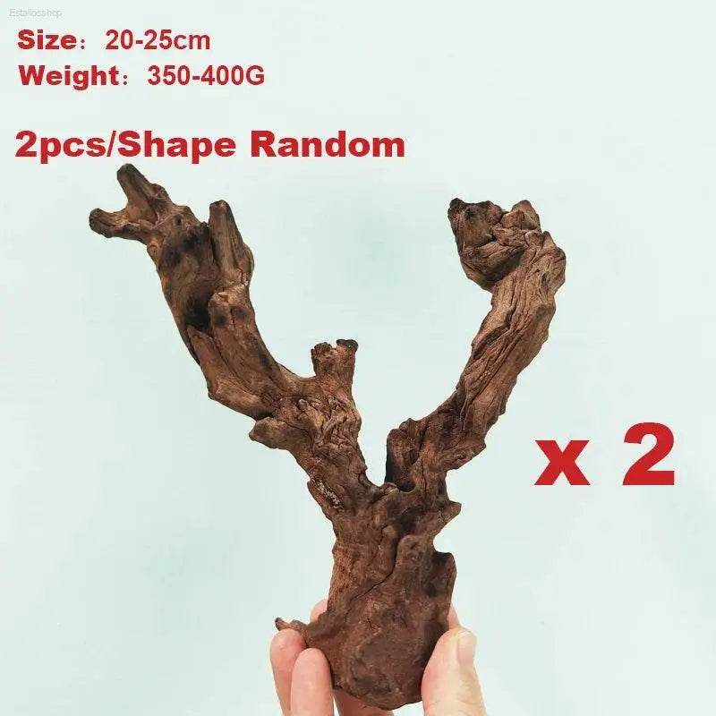 Natural Coral Driftwood for Aquariums - Large Decor Wood - Estalios