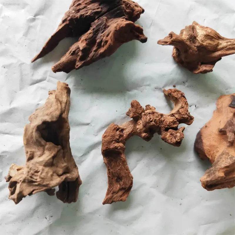 Natural Coral Driftwood for Aquariums - Large Decor Wood - Estalios