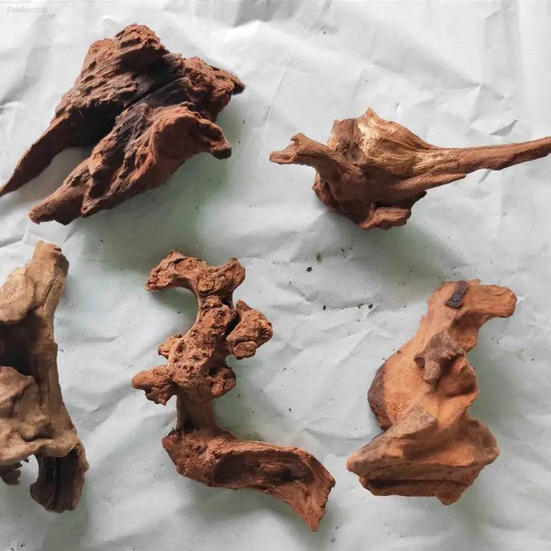 Natural Coral Driftwood for Aquariums - Large Decor Wood - Estalios