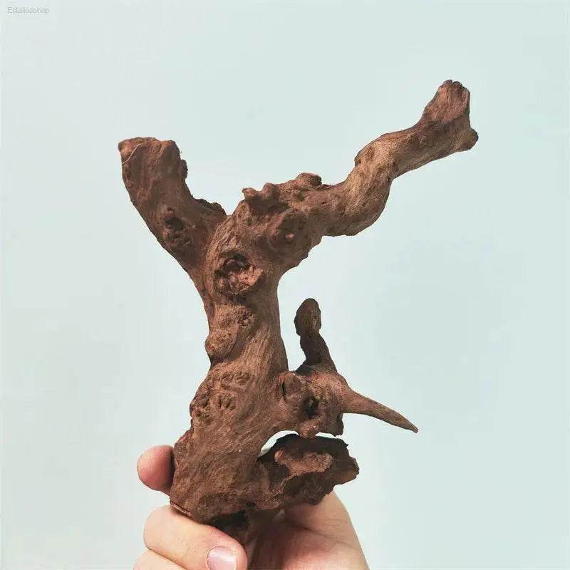 Natural Coral Driftwood for Aquariums - Large Decor Wood - Estalios
