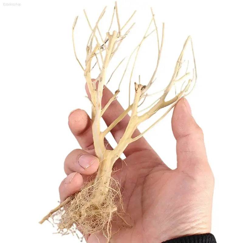 New DIY Driftwood Aquarium Moss Tree Decor for Fish Tanks - Estalios