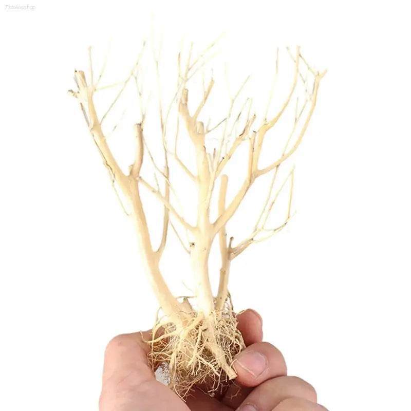 New DIY Driftwood Aquarium Moss Tree Decor for Fish Tanks - Estalios