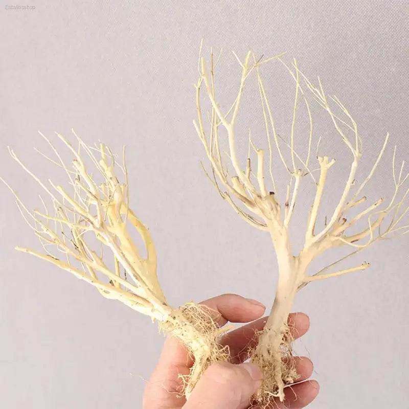 New DIY Driftwood Aquarium Moss Tree Decor for Fish Tanks - Estalios