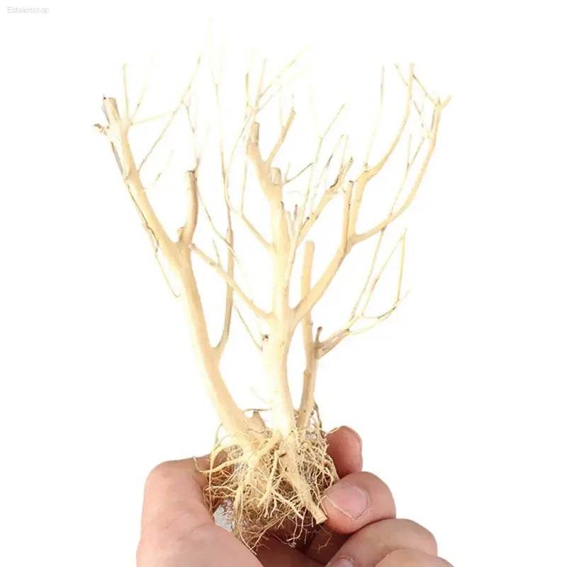 New DIY Driftwood Aquarium Moss Tree Decor for Fish Tanks - Estalios