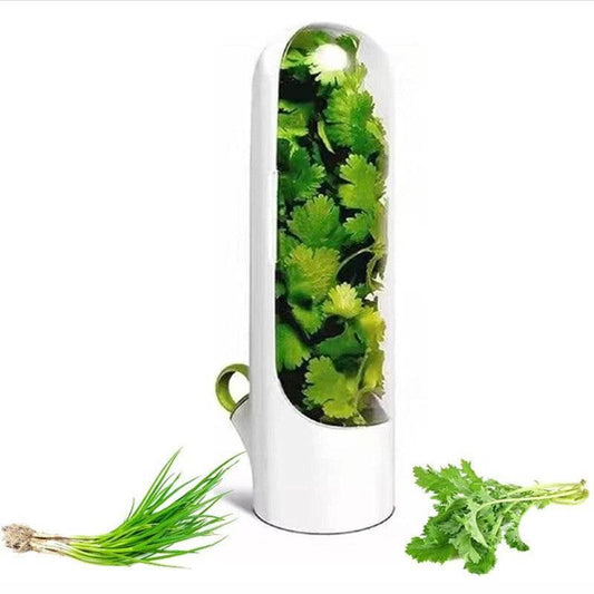 New Vanilla Preservation Cup for Fresh Vegetable Storage - Estalios
