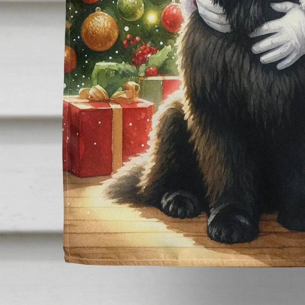 Newfoundland and Santa Claus House Flag for Vibrant Outdoor Decor - Estalios