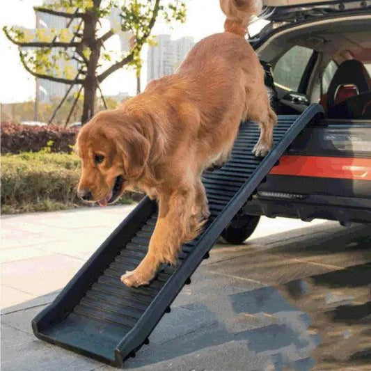 Epic Golden Retriever Ramp and Tray Set for Easy Adventures - Estalios