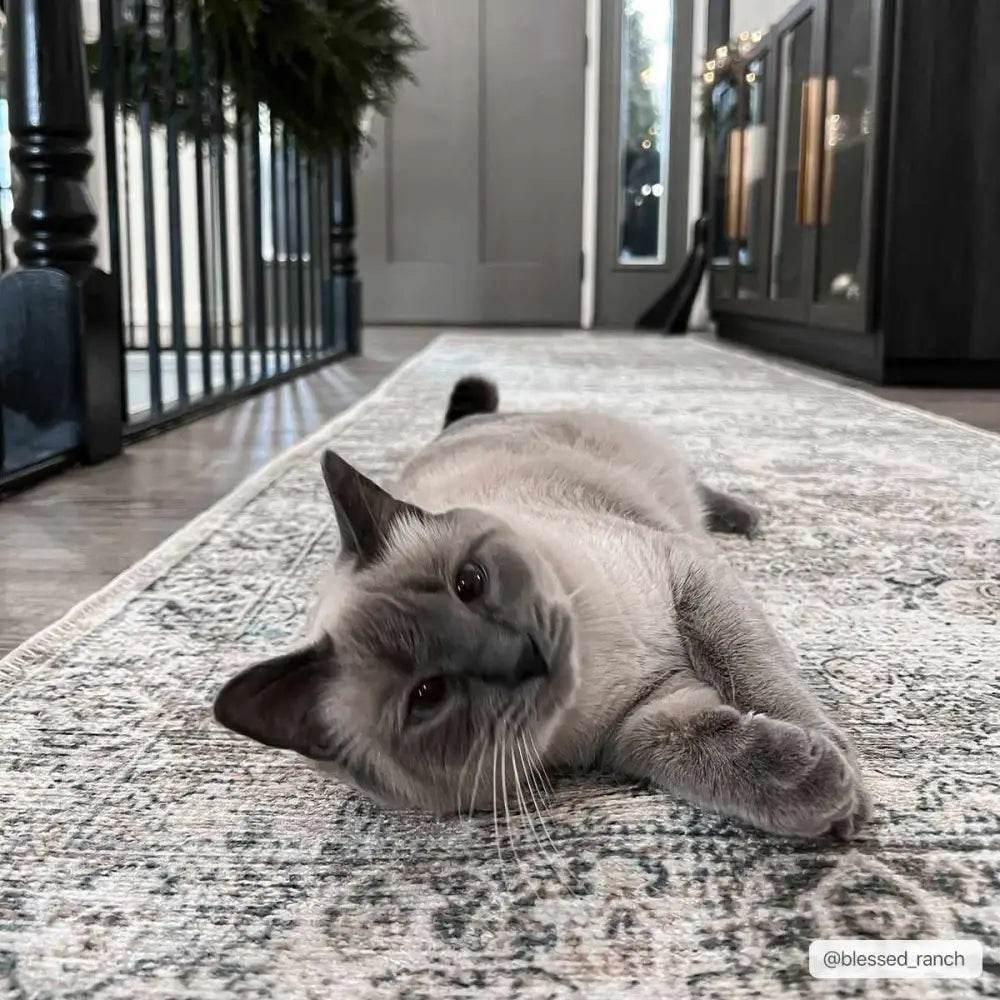 Olive Holi-2304 Washable Area Rug for Easy Cleaning - Estalios