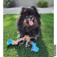 Durable Orange Rubber Bone Dog Chew Toy with Tug Rope - Estalios