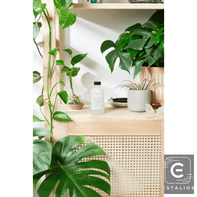 Organic Makeup Remover with Reusable Rounds for Gentle Care - Estalios