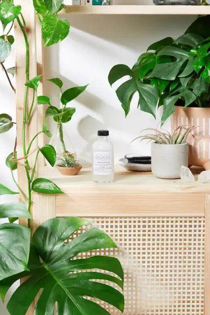 Organic Makeup Remover with Reusable Rounds for Gentle Care - Estalios